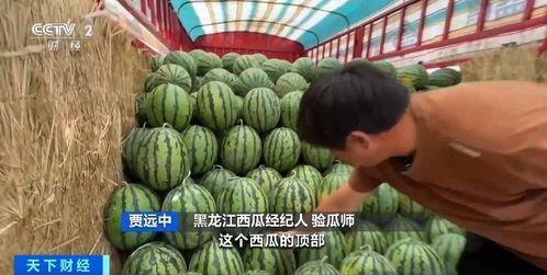 穿越成吃瓜系统,一场别开生面的现代奇遇记  第2张